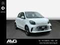 smart forFour smart EQ forfour passion 22 kW Pano LED Tempomat Weiß - thumbnail 3
