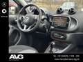 smart forFour smart EQ forfour passion 22 kW Pano LED Tempomat Weiß - thumbnail 14