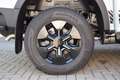 Ford Ranger Plug-in-Hybrid Stormtrak e-4WD Doppelkabine Grün - thumbnail 11