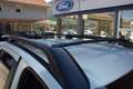 Ford Ranger Plug-in-Hybrid Stormtrak e-4WD Doppelkabine Grün - thumbnail 17