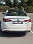 Kia Optima 2.0 CVVT Hybrid  Business Executive Line - thumbnail 10
