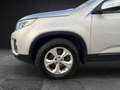 Kia Sorento Vision 4WD/AUTOMATIK/AHK/CAM/4X4 Argintiu - thumbnail 9