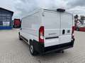 Fiat Ducato KASTENWAGEN 33 L2H1 120MT Weiß - thumbnail 10