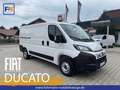 Fiat Ducato KASTENWAGEN 33 L2H1 120MT Weiß - thumbnail 1