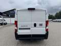 Fiat Ducato KASTENWAGEN 33 L2H1 120MT Weiß - thumbnail 5