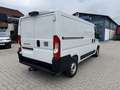 Fiat Ducato KASTENWAGEN 33 L2H1 120MT Weiß - thumbnail 4