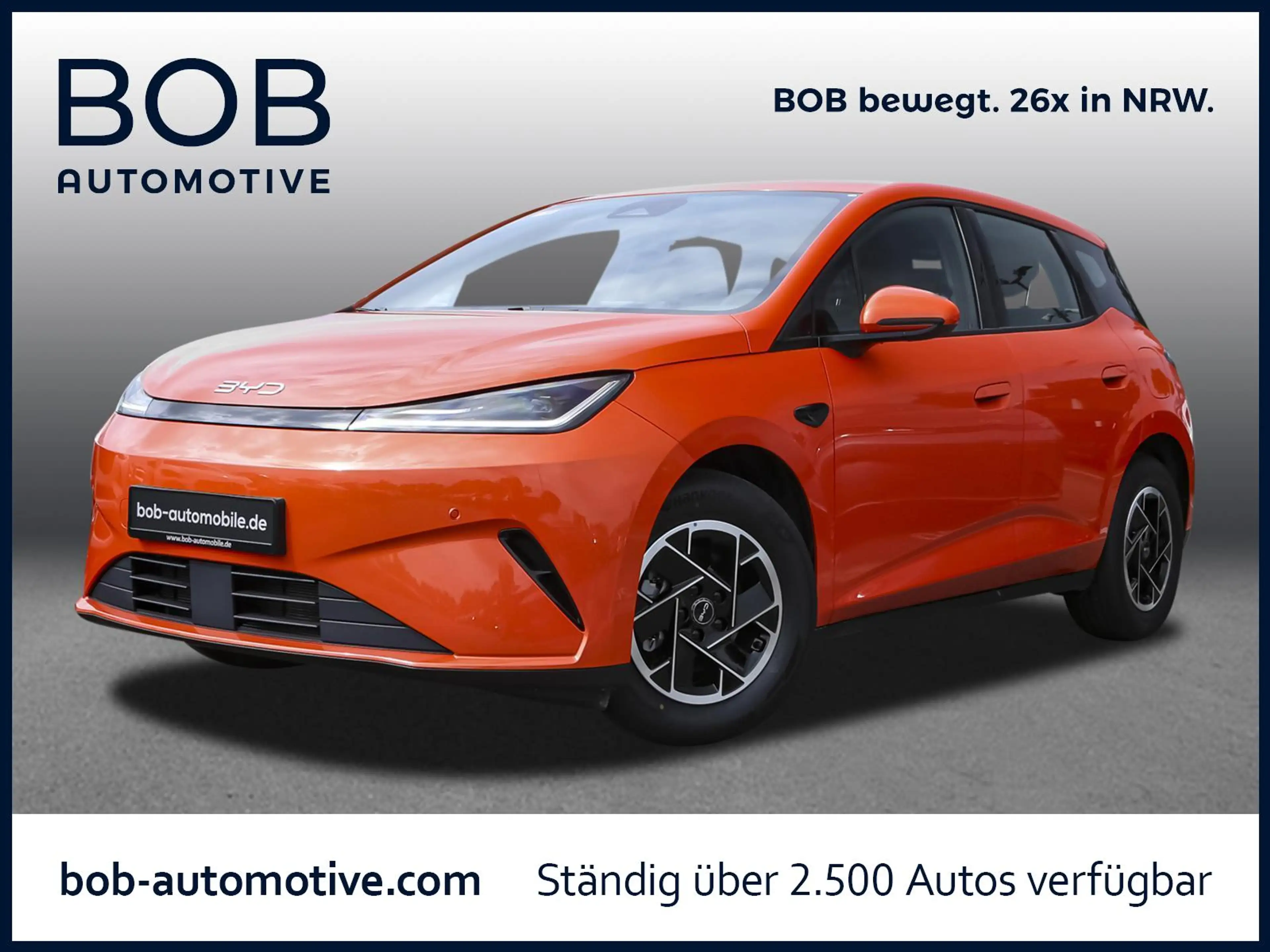 BYD Dolphin G DM-i Active Gewerbe Aktion