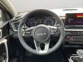 Kia XCeed 1.6 PHEV DCT6 Spirit Technologie-Paket Grün - thumbnail 13