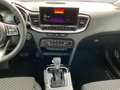 Kia XCeed 1.6 PHEV DCT6 Spirit Technologie-Paket Grün - thumbnail 12