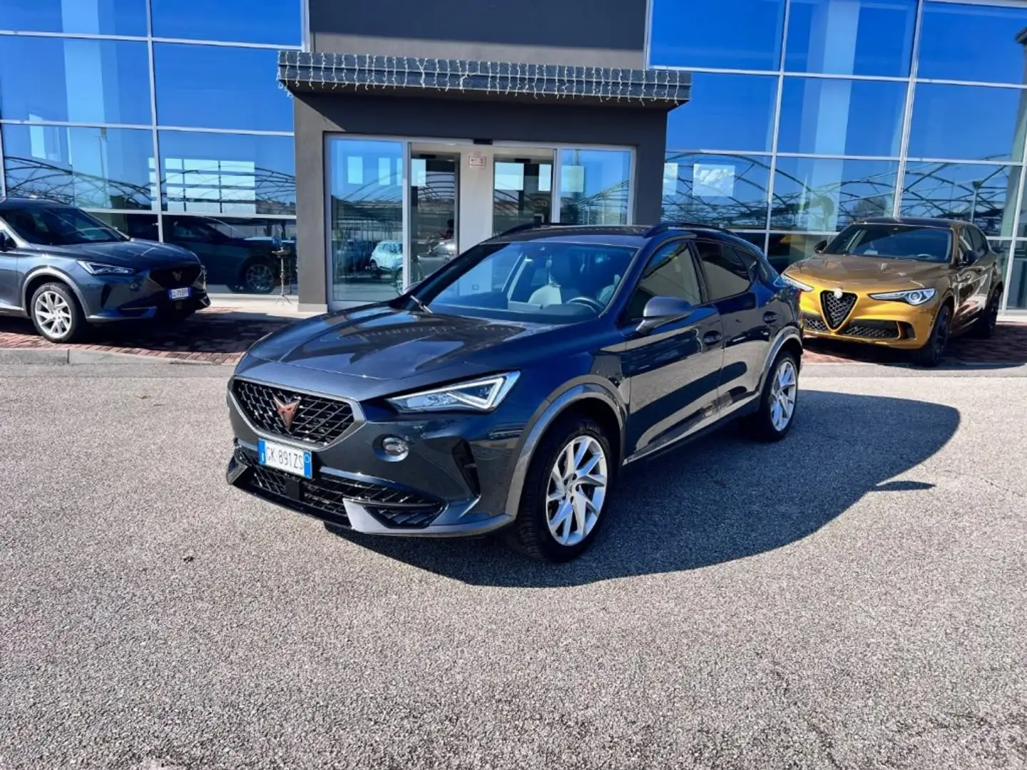 CUPRA Formentor 2.0 TDI 4Drive DSG Grigio - 1