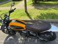 Ducati Scrambler Classic Beżowy - thumbnail 7