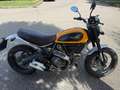 Ducati Scrambler Classic Beżowy - thumbnail 3