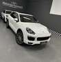 Porsche Cayenne 3.0 250cv Tetto+GancioTraino+Radar Finanziabile Bianco - thumbnail 1