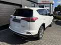 Toyota RAV 4 Blanc - thumbnail 20