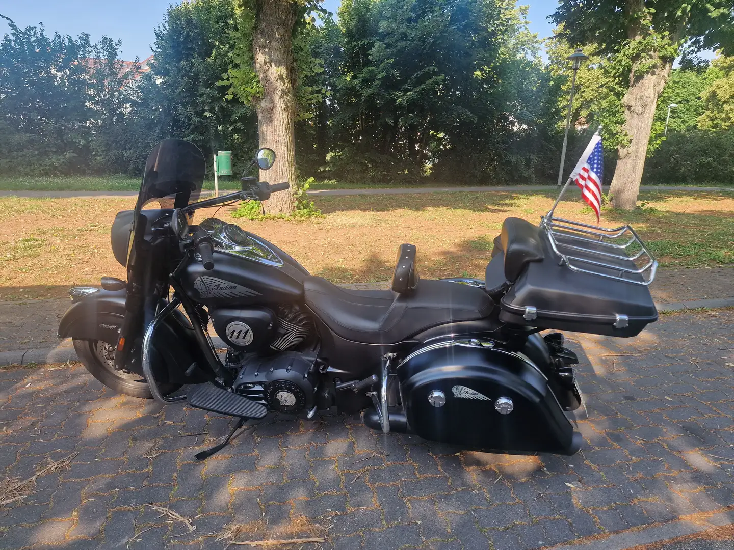 Indian Chief Dark Horse Negro - 2
