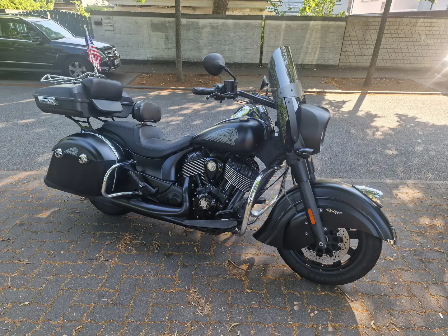 Indian Chief Dark Horse Negro - 1