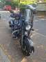 Indian Chief Dark Horse Negro - thumbnail 3