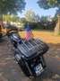Indian Chief Dark Horse Negro - thumbnail 4