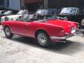 Alfa Romeo Spider Giulietta, top, dt.Erstzulassung aus 3.Hand! Rouge - thumbnail 8