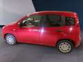Fiat Panda Panda 1.0 FireFly S&S Hybrid Icon VARI COLORI SEN Weiß - thumbnail 5