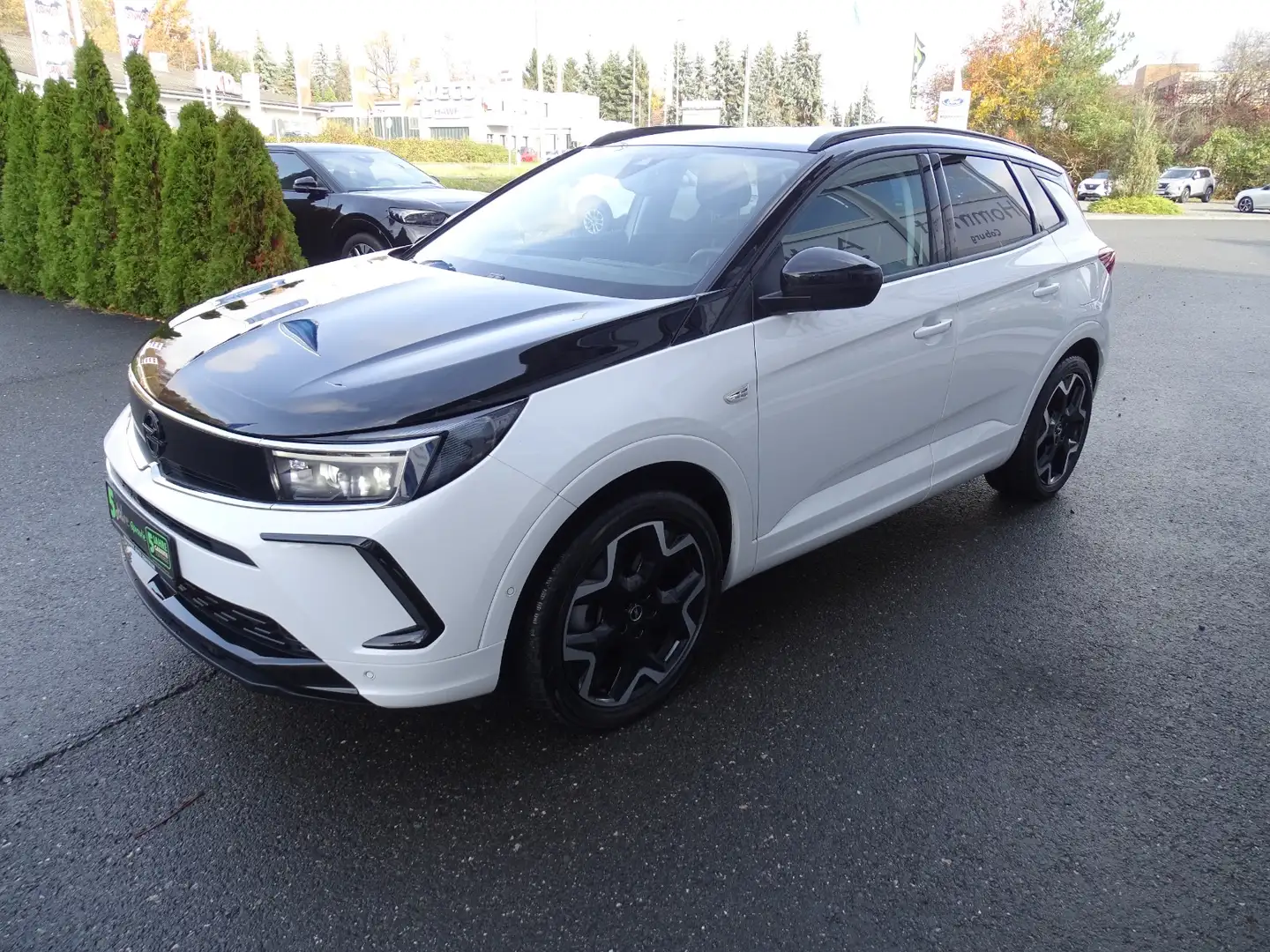 Opel Grandland 1.6 Turbo GSe 4 ACC+LED+Navi+SHZ+360 Weiß - 2