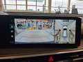 Kia Sorento 1.6 T-GDi PHEV AT6 4WD Evolution 7posti Blu/Azzurro - thumbnail 14