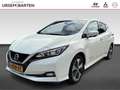 Nissan Leaf e+ Tekna 62 kWh Pro Pilot Wit - thumbnail 1