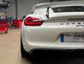 Porsche Cayman Cayman GT4 3.8i 385 Weiß - thumbnail 5