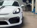 Porsche Cayman Cayman GT4 3.8i 385 Weiß - thumbnail 3