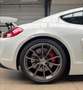 Porsche Cayman Cayman GT4 3.8i 385 Weiß - thumbnail 6