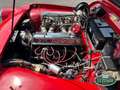 Triumph TR3 A Rosso - thumbnail 14