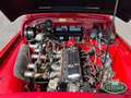 Triumph TR3 A Rosso - thumbnail 13