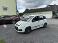 Fiat Panda 1,2 69 Young - thumbnail 1
