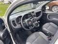 Fiat Panda 1,2 69 Young - thumbnail 7