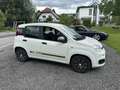 Fiat Panda 1,2 69 Young - thumbnail 4