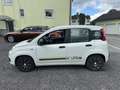 Fiat Panda 1,2 69 Young - thumbnail 2