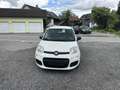 Fiat Panda 1,2 69 Young - thumbnail 5