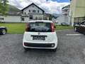 Fiat Panda 1,2 69 Young - thumbnail 3