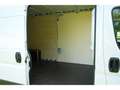 Opel Movano C FACELIFT CARGO L4H2 CDTI+SITZHEIZUNG+SCHI Blanc - thumbnail 15