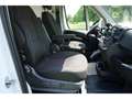 Opel Movano C FACELIFT CARGO L4H2 CDTI+SITZHEIZUNG+SCHI Blanco - thumbnail 16