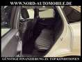 Ford Kuga 2.0 EcoBlue VIGNALE AWD *AHK*HUD*ACC*LED* Vignale Weiß - thumbnail 15
