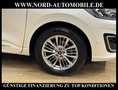 Ford Kuga 2.0 EcoBlue VIGNALE AWD *AHK*HUD*ACC*LED* Vignale Weiß - thumbnail 12
