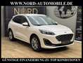 Ford Kuga 2.0 EcoBlue VIGNALE AWD *AHK*HUD*ACC*LED* Vignale Weiß - thumbnail 3