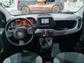 Fiat Panda MY21 1.0 70CV Hybrid City Life Bianco - thumbnail 12