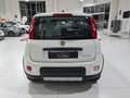 Fiat Panda MY21 1.0 70CV Hybrid City Life Bianco - thumbnail 6