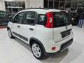 Fiat Panda MY21 1.0 70CV Hybrid City Life Bianco - thumbnail 7