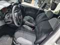 Fiat Panda MY21 1.0 70CV Hybrid City Life Bianco - thumbnail 10