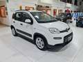 Fiat Panda MY21 1.0 70CV Hybrid City Life Bianco - thumbnail 4