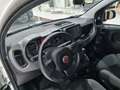 Fiat Panda MY21 1.0 70CV Hybrid City Life Bianco - thumbnail 8