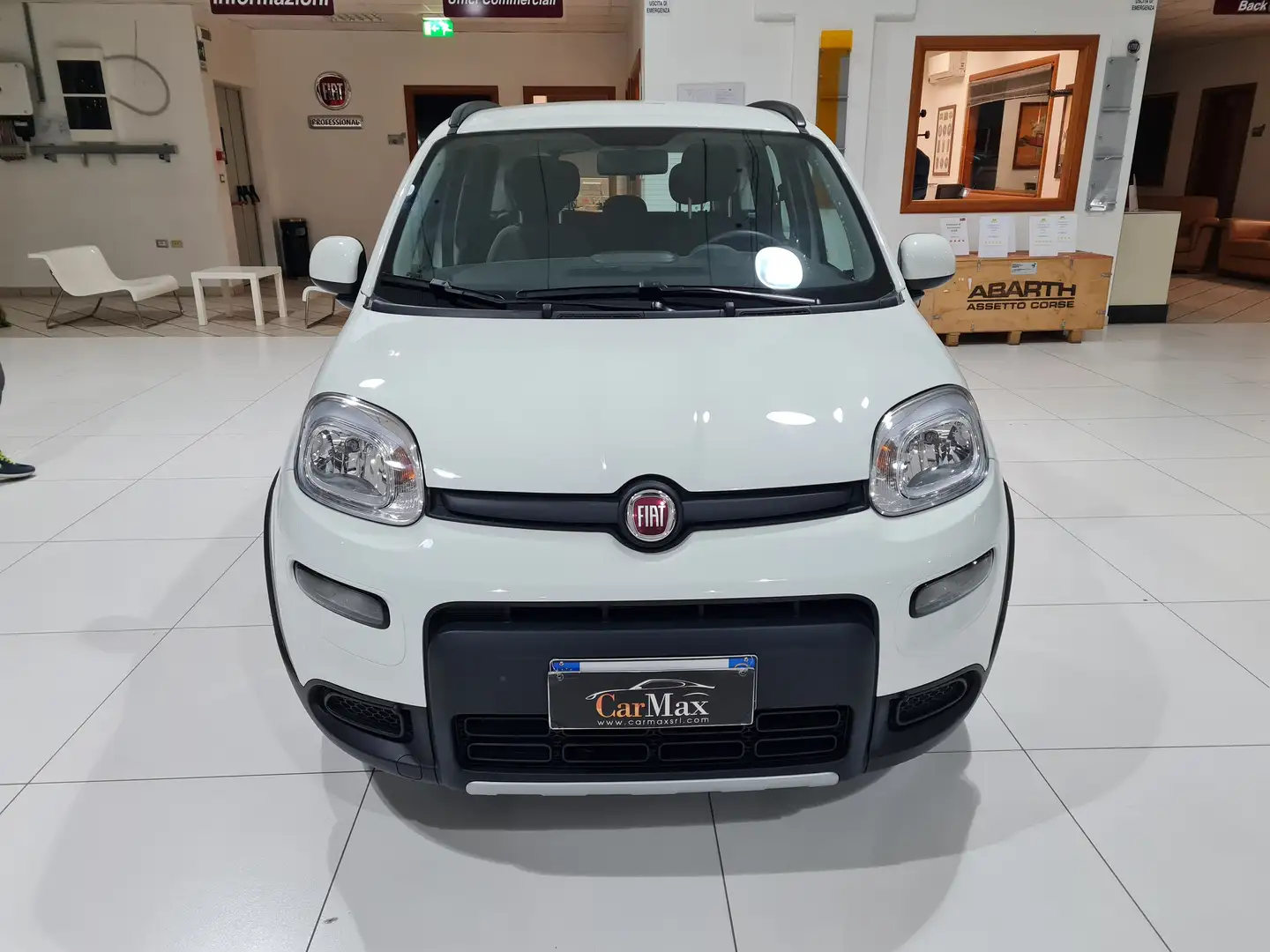 Fiat Panda MY21 1.0 70CV Hybrid City Life Bianco - 2